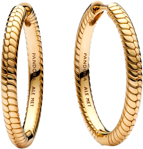 Gold-Plated Moments Charm Hoop Earrings
