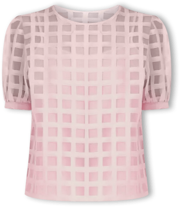 トップス SHEER PLAID VOLUME SLEEVE TOPS SHEER PLAID VOLUME SLEEVE TOPS color：WHITE / BLACK In stock