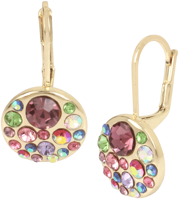 Faux Stone Round Drop Earrings