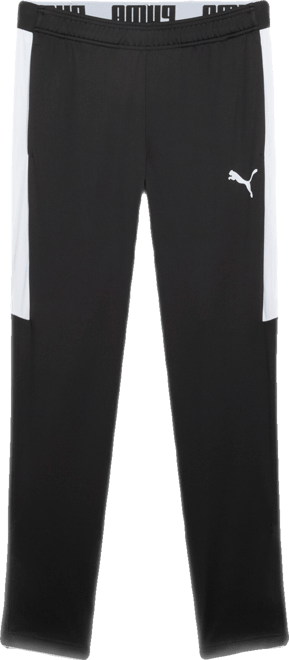 PUMA Speed Men's Training Pants