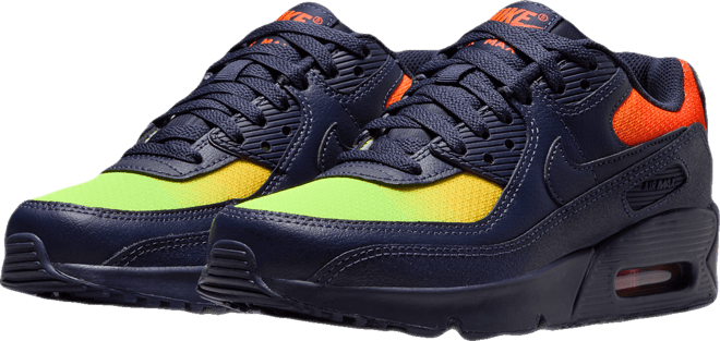Nike Air Max 90 LTR Big Kids’ Shoes