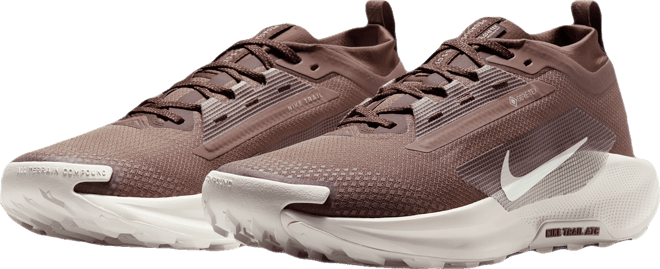 Nike Pegasus Trail 5 GORE-TEX SP Męskie wodoszczelne buty do biegania w terenie