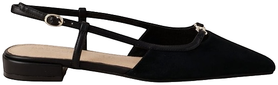 Flat Shoe in Black Suede