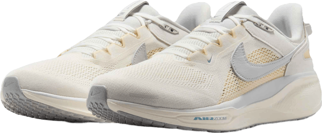 Nike Air Zoom Pegasus 41 SP Men's Shoes