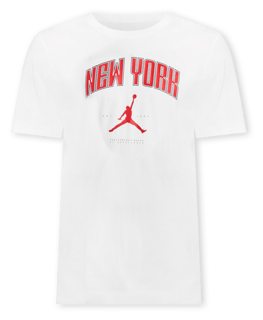 Jordan Brooklyn Fleece Pullover 84 Olympics | Champs Sports