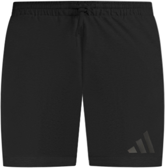 Men's Regular Fit Shorts