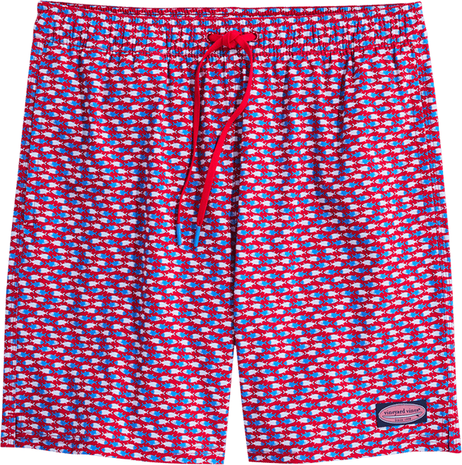 7 Inch Printed Chappy Swim Trunks