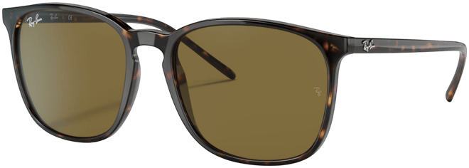 Men's Low Bridge Fit Sunglasses, RB4387F 55