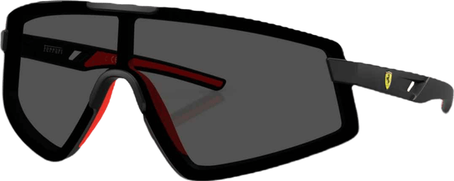 Men's Sunglasses FZ6009U