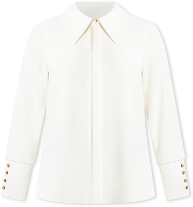 Women's Plus Size Pointed Collar Button Up Shirt