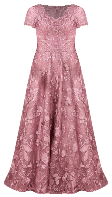 Women's Tonal Lace Ballgown