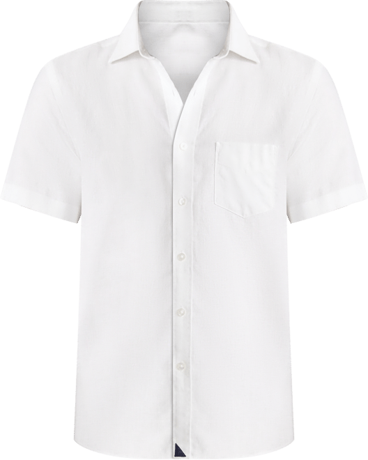 Men's Regular Fit Wrinkle Resistant Linen Cameron Button Up Shirt