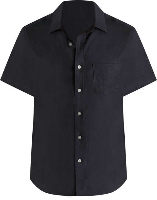 Men's Regular Fit Wrinkle Resistant Linen Cameron Button Up Shirt