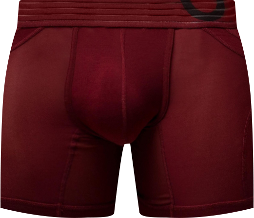 Men's Sxy Nights Anatomic Boxer Brief