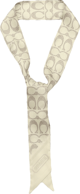 Textured Signature Print Silk Skinny Scarf