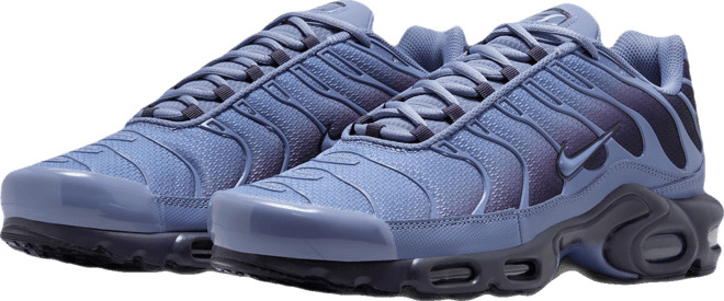 Nike Air Max Plus Schuh (Herren)
