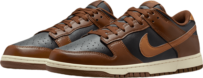 Nike Dunk Low Retro Men's Shoes