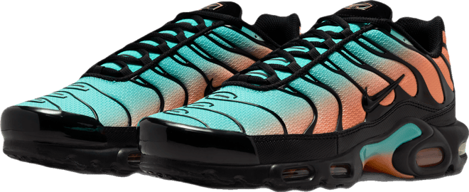Nike Air Max Plus Men's Shoes