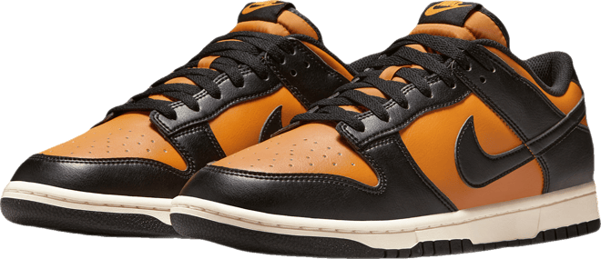 Nike Dunk Low Retro Men's Shoes