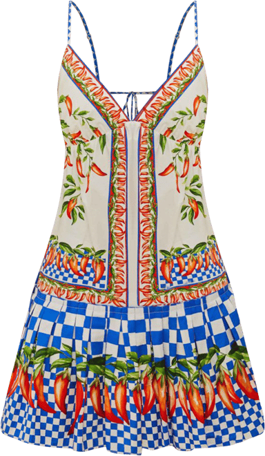 Picnic Peppers Ainika Mini Dress