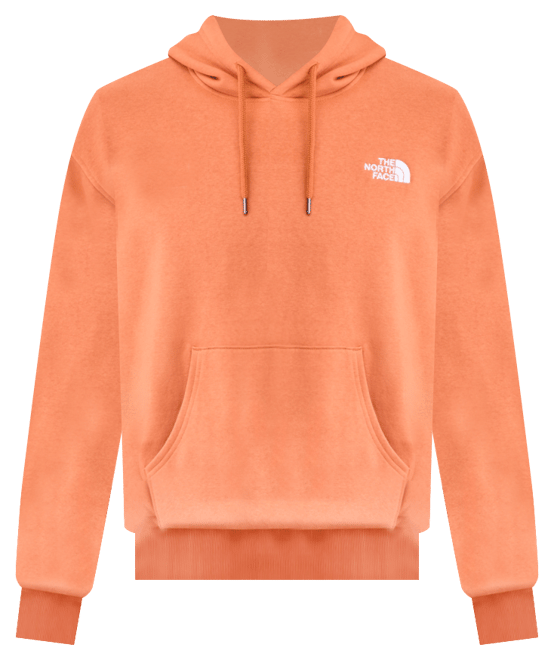 Men's Evolution Vintage Hoodie