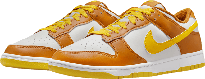 Nike Dunk Low Retro Men's Shoes