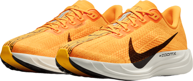 Nike Pegasus Plus LV8 Erkek Yol Koşu Ayakkabısı