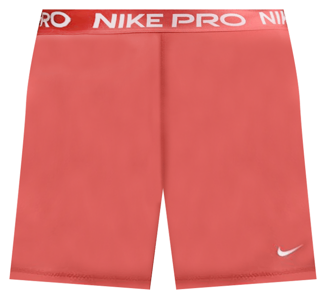 Nike Pro 365 Women's 5" Shorts (Plus Size)
