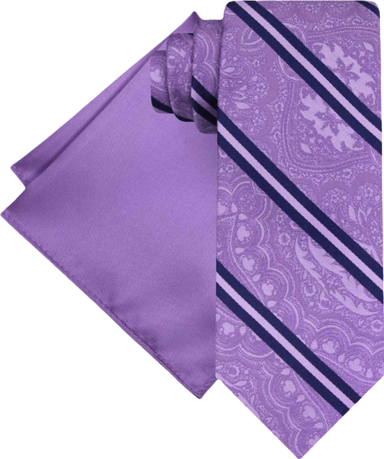 Men's Stripe Paisley Tie & Solid Pocket Square Set