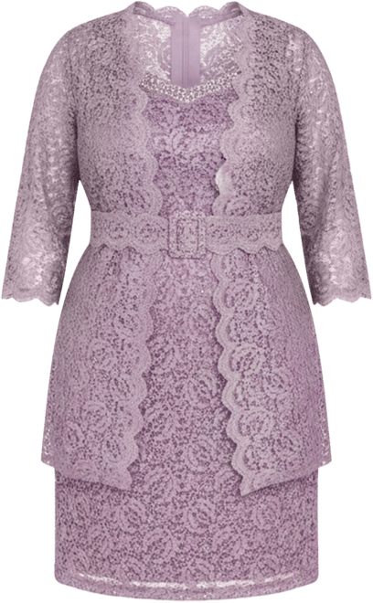 Plus Size 2-Pc. Lace Jacket & Dress Set