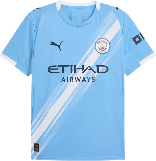 PUMA Adult Manchester City 2025-26 Home Replica Jersey | Dick's