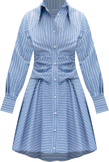 Women's Mini Shirt Dress