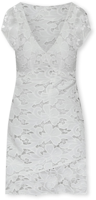 Women's Drifting Slowly Lace Mini Dress