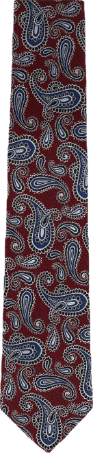 Men's Wharton Wavy Paisley Silk Novelty Necktie
