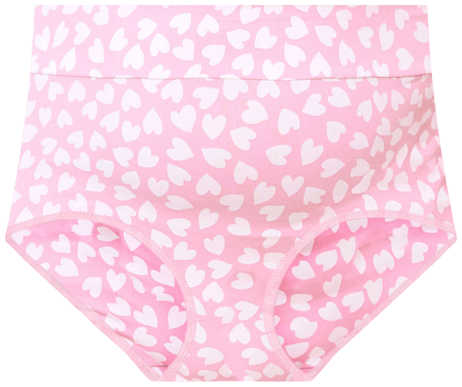 Ilusion Hi-Waist Microfiber Panty- 1551