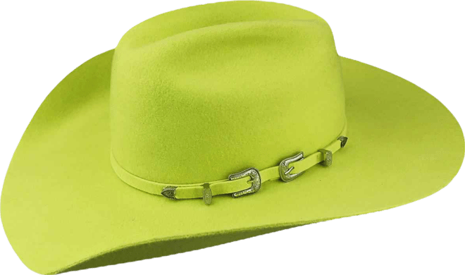 Men's Punchy Western Cowboy Hat