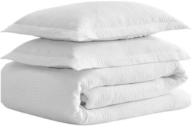 Reede Muslin Textured 2-Pc. Comforter Set, Twin/Twin Xl
