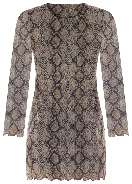 Women's Long Sleeve Floral Mesh Dress