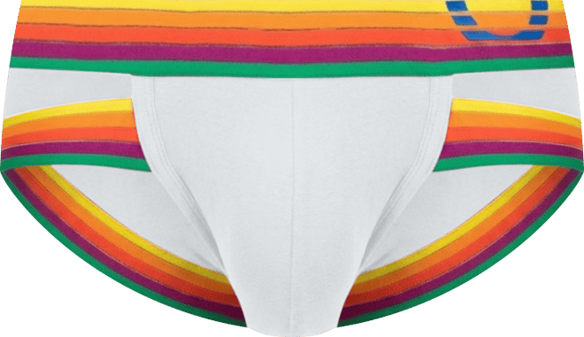 Men's Rainbow Rush Holster Brief