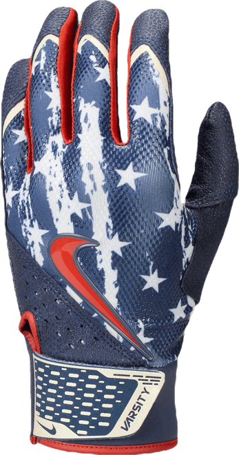 Nike Alpha Varsity Batting Gloves (1 Pair)