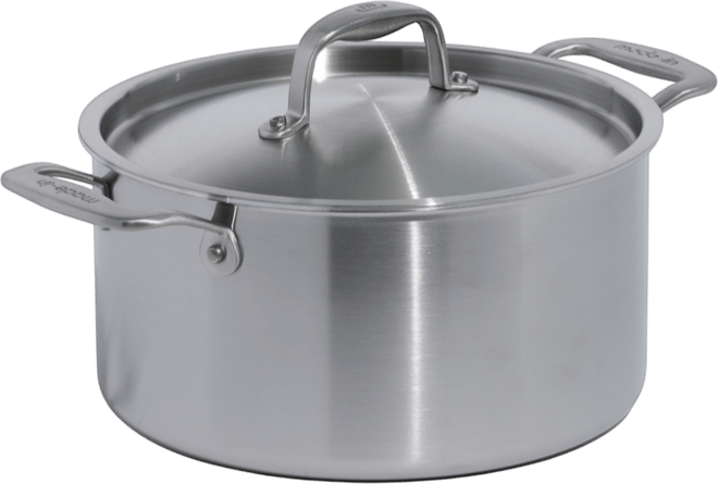 Stainless Steel Clad 6-Quart Stock Pot with Lid