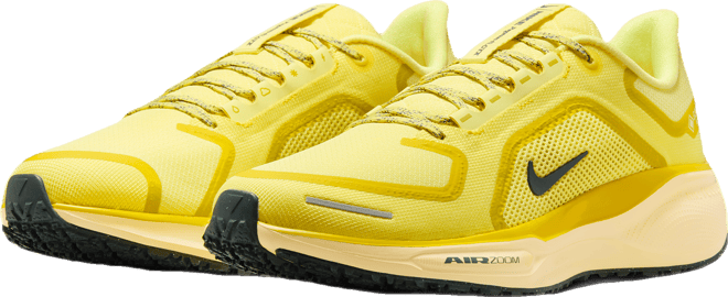 Nike Pegasus 41 GORE-TEX Su Geçirmez Erkek Yol Koşu Ayakkabısı