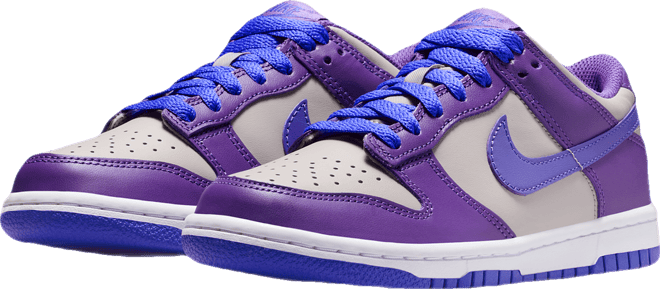 Nike Dunk Low Big Kids' Shoes