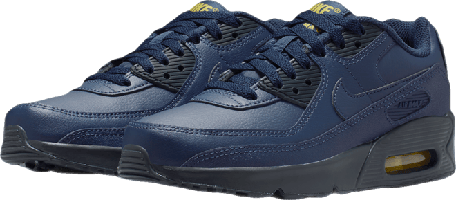 Nike Air Max 90 LTR Genç Çocuk Ayakkabısı