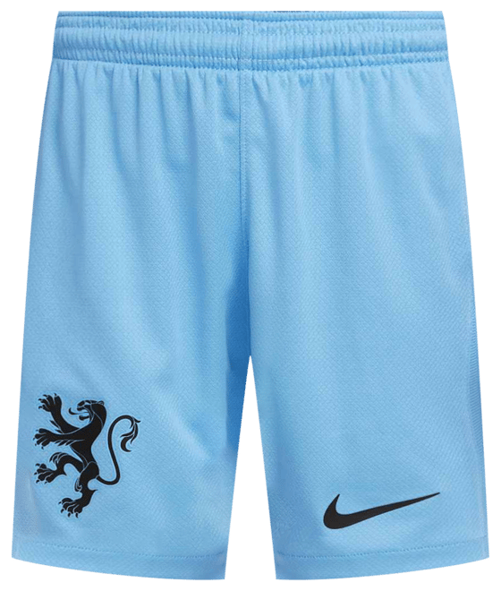 Netherlands 2025/26 Stadium Away Older Kids' Nike Dri-FIT Football Replica Shorts