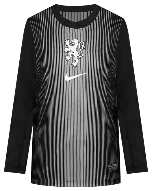 Netherlands 2025/26 Stadium Goalkeeper Men's Nike Dri-FIT Football Replica Long-Sleeve Shirt