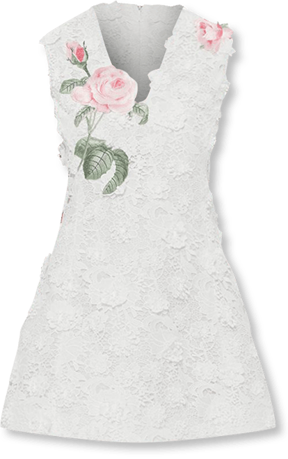 LEO LIN Briana V Neck Embroidered Lace Mini Dress | Bloomingdale's Women