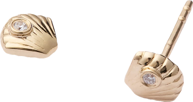 Clam Shell Stud Earrings