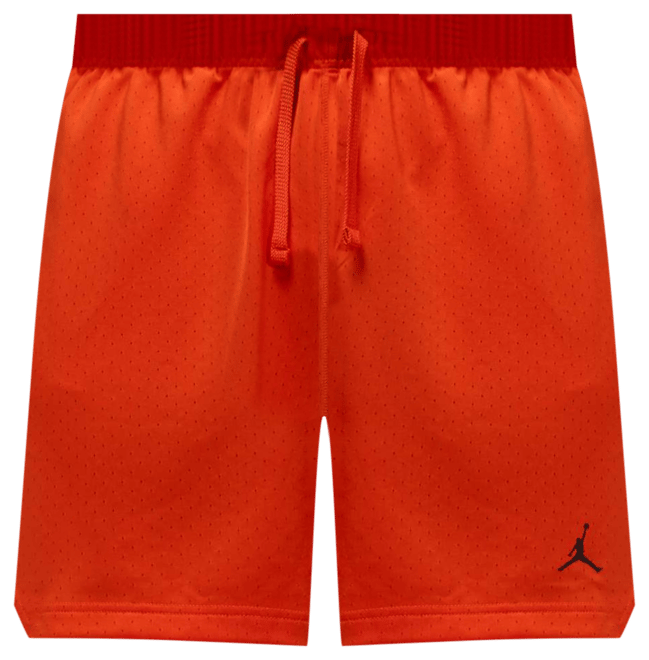 Jordan Sport Shorts i mesh Dri-FIT för män
