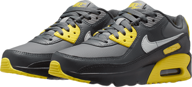 Nike Air Max 90 LTR Big Kids’ Shoes